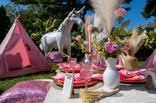 Travel Spa Party (popular)